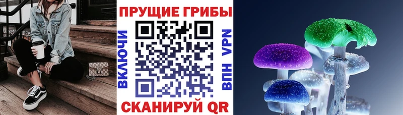 Галлюциногенные грибы Psilocybine cubensis  как найти закладки  Ужур 